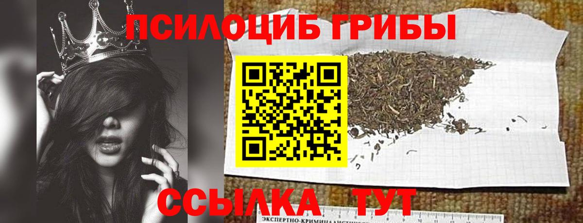 Королёв  Псилоцибиновые грибы Psilocybe  Вход с VPN 